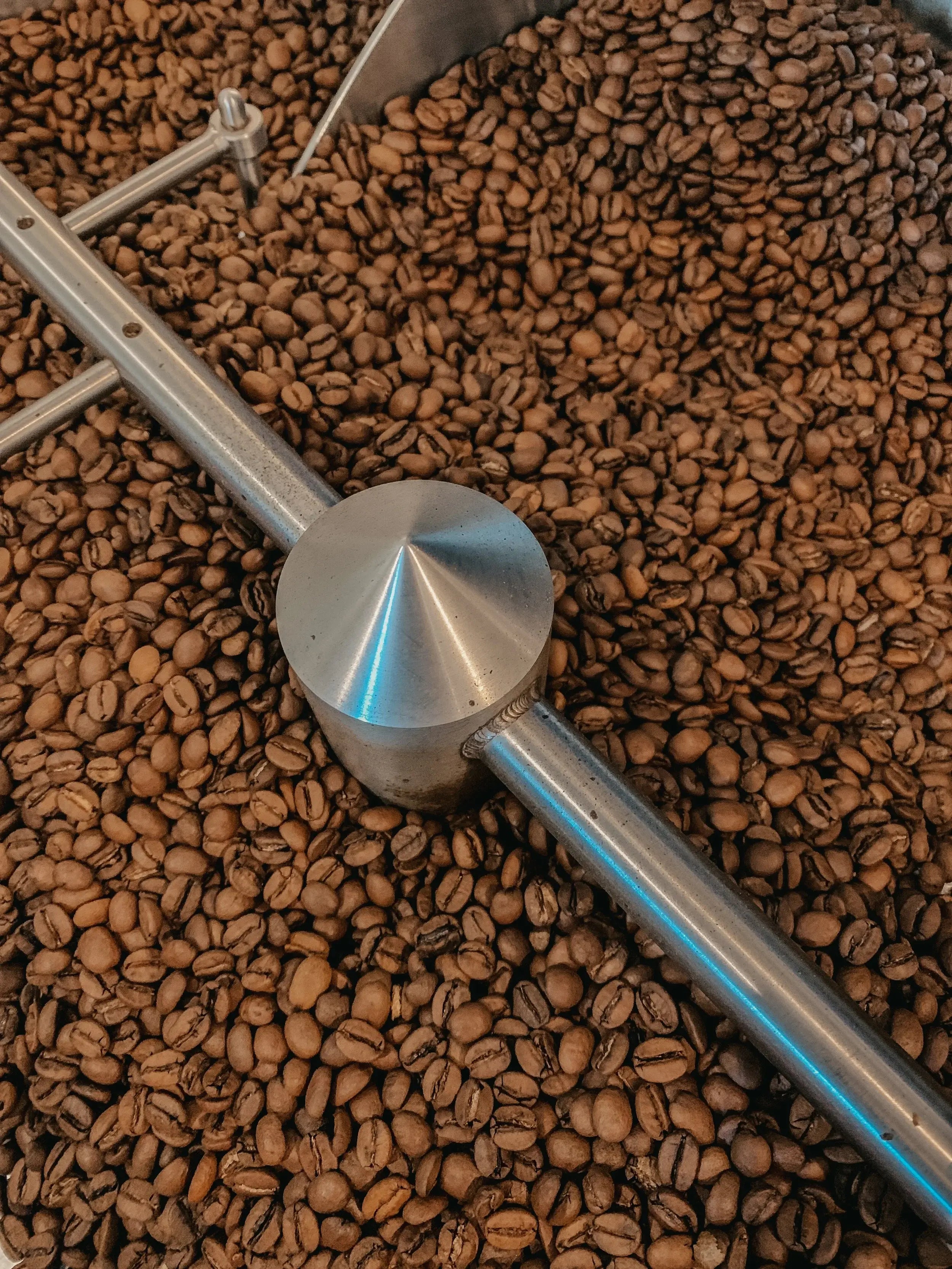 coffee beans in roaster